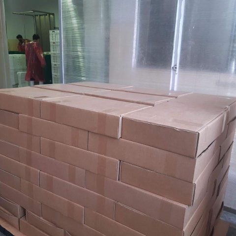 WhatsApp Image 2024-07-08 at 10.05.56 AM (2)